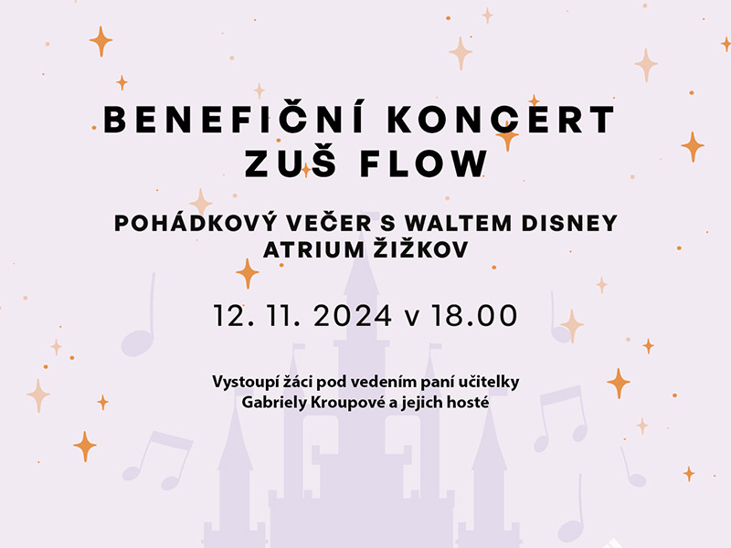 Benefiční koncert ZUŠ Flow